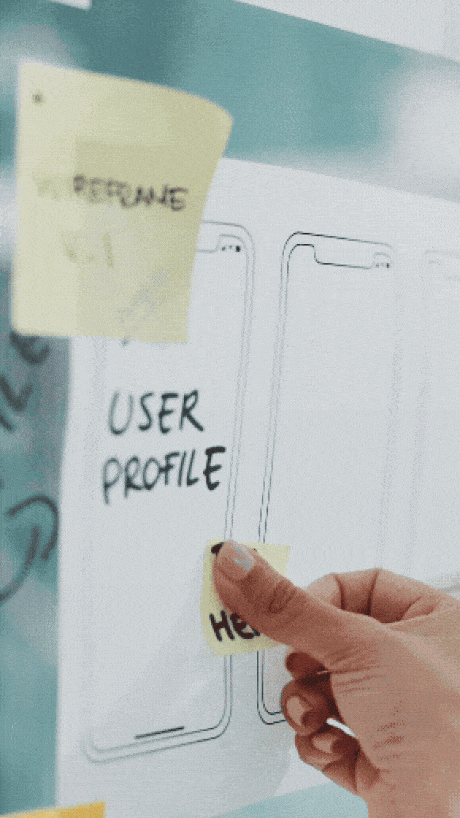 Website Design and Development