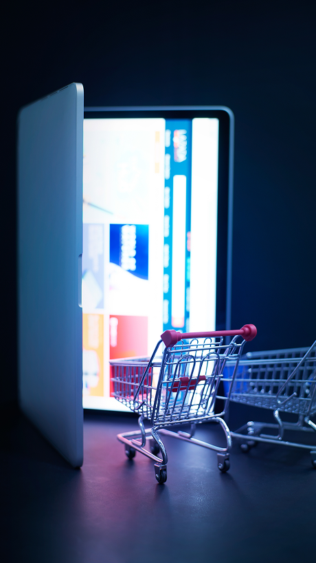 E-commerce Website Development