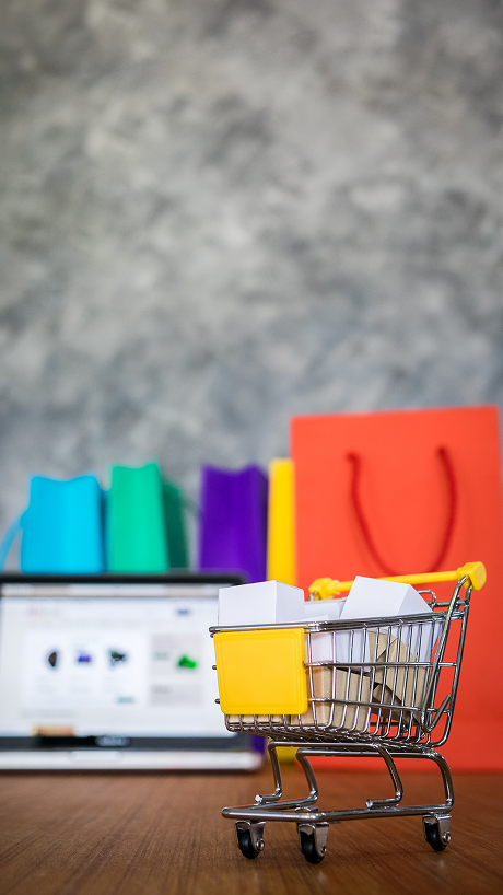 Shopify Website Development